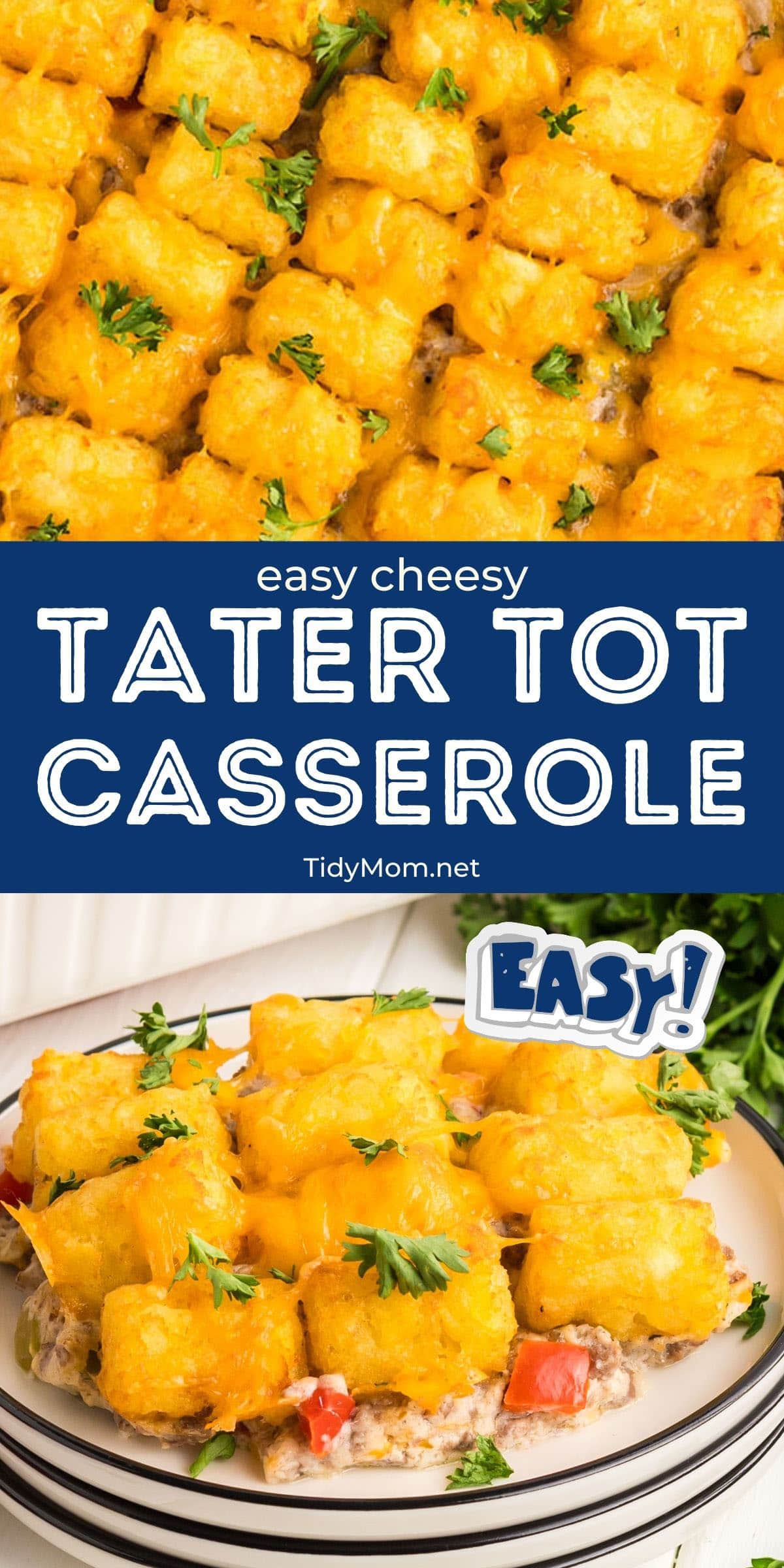 tater-tot-casserole-recipe-tidymom