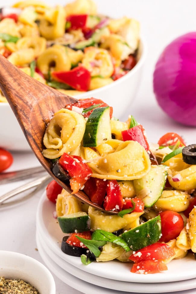 a spoonful of colorful cheese tortellini pasta salad