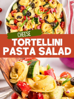 cheese tortellini pasta salad collage