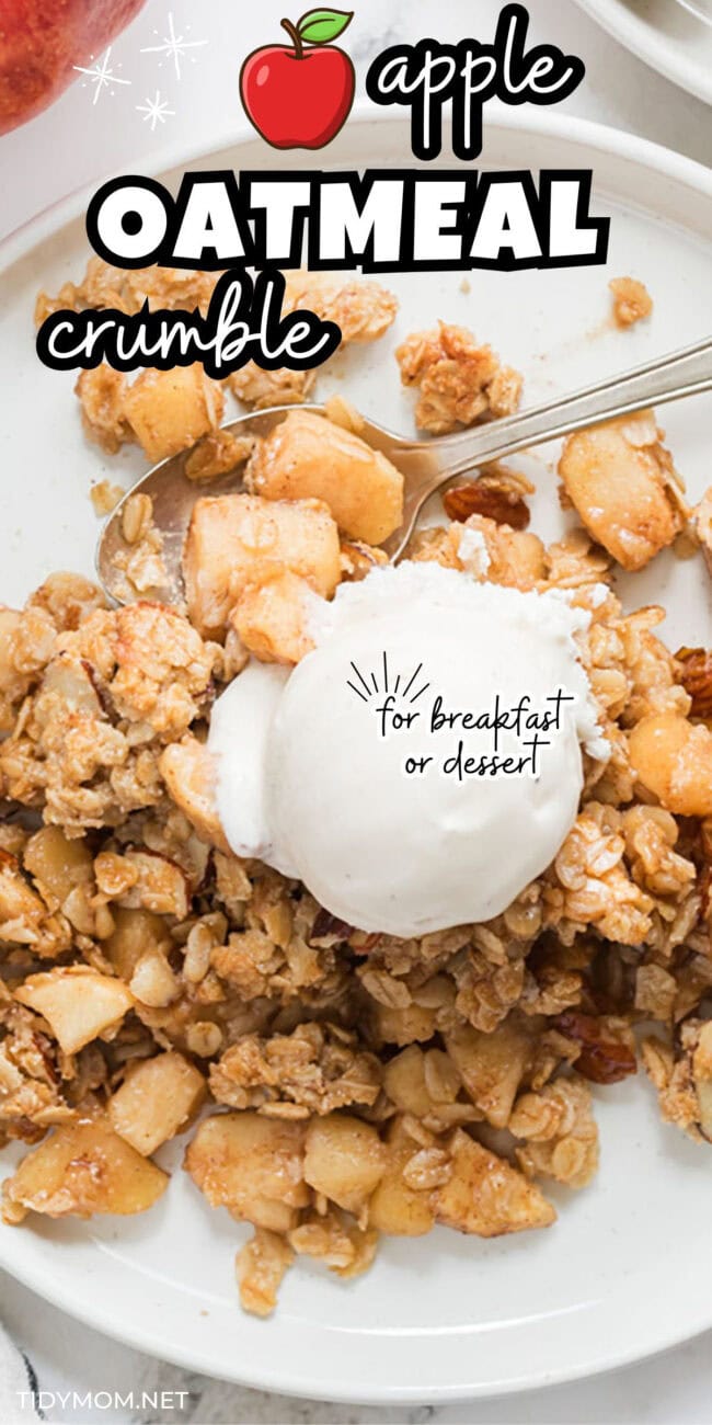 apple oatmeal crumble topped with a scoop of vanilla ice cream