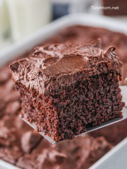 piece of chocolate cake on a server