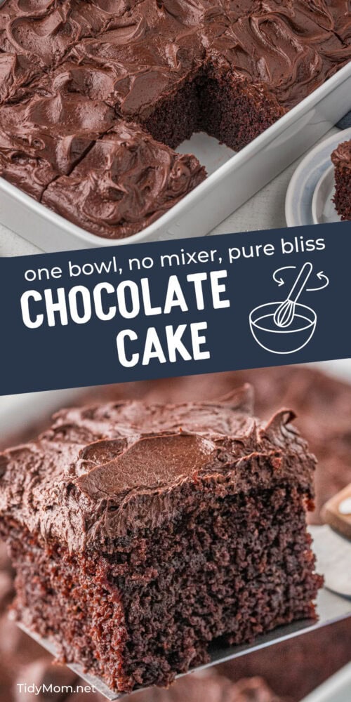 Extra Rich One Bowl Chocolate Cake Recipe - TidyMom®
