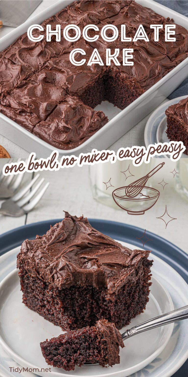 Extra Rich One Bowl Chocolate Cake Recipe - TidyMom®