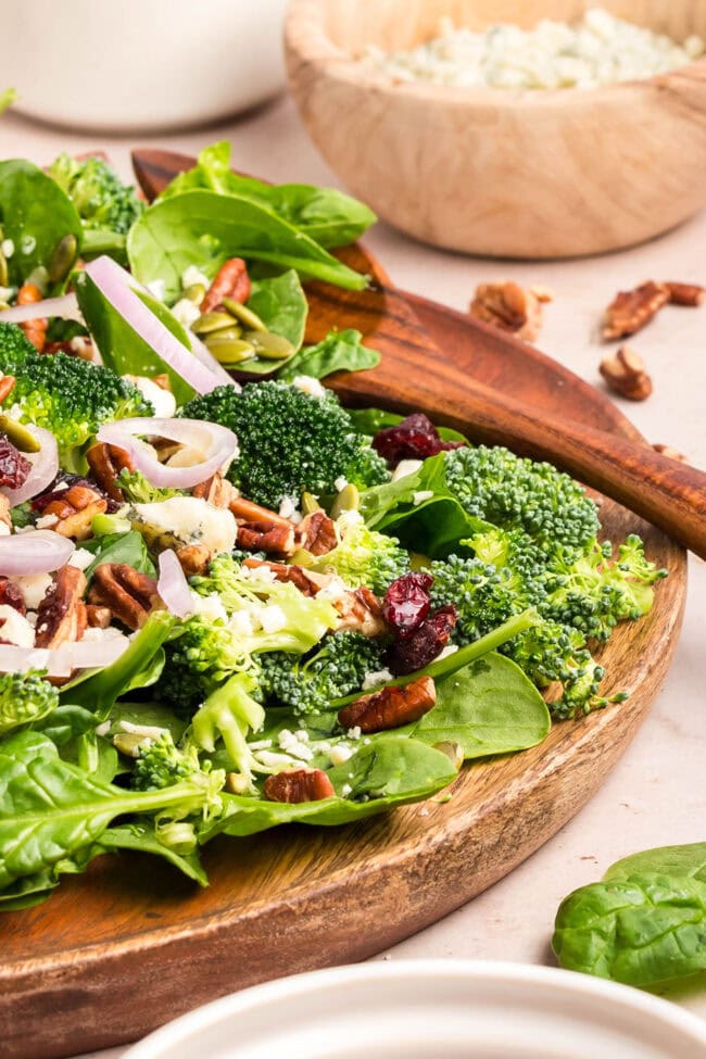 spinach salad with cranberries, blue cheese, and pumpkin seeds