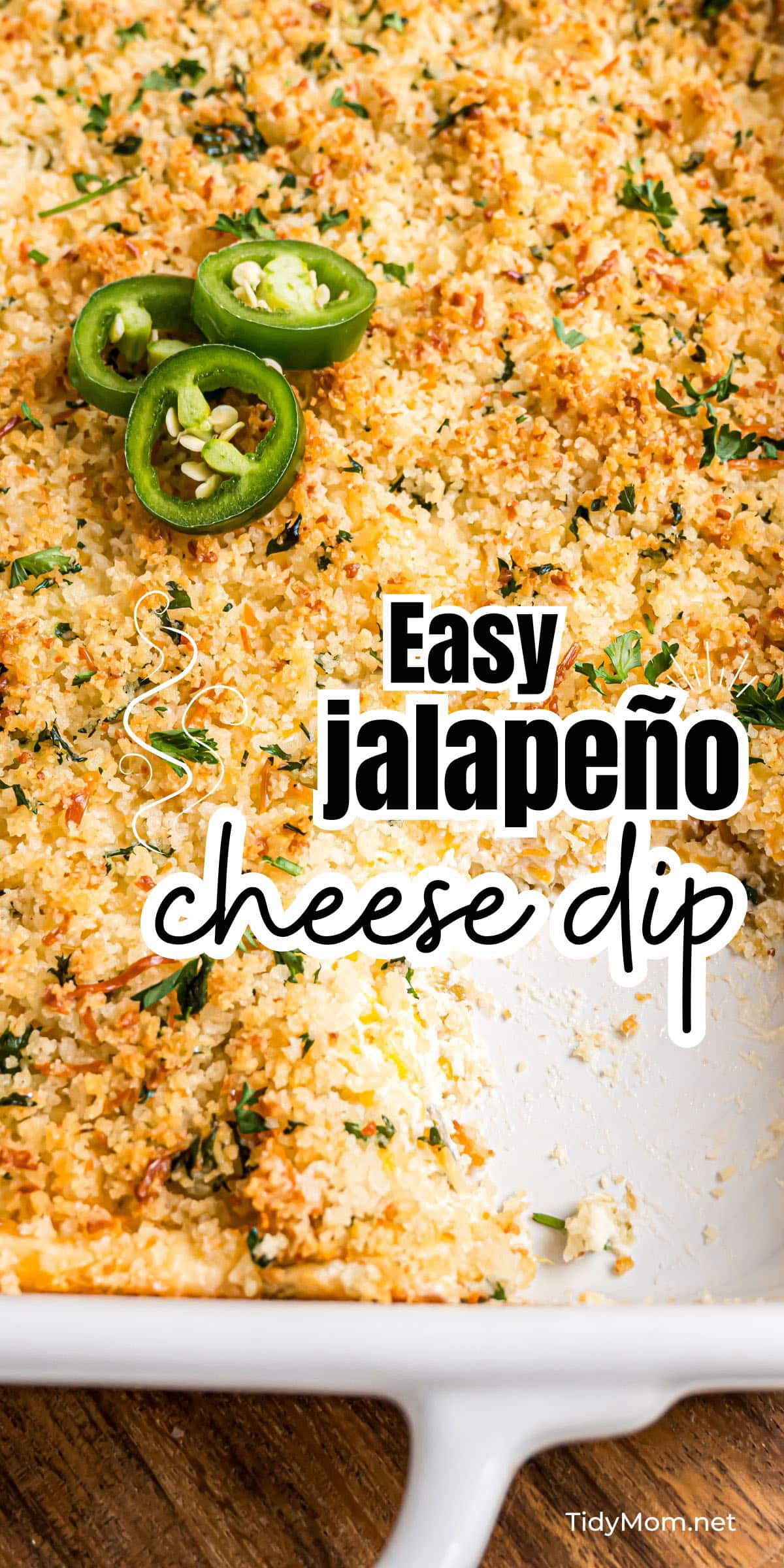 Baked Jalapeno Popper Dip Recipe - TidyMom®