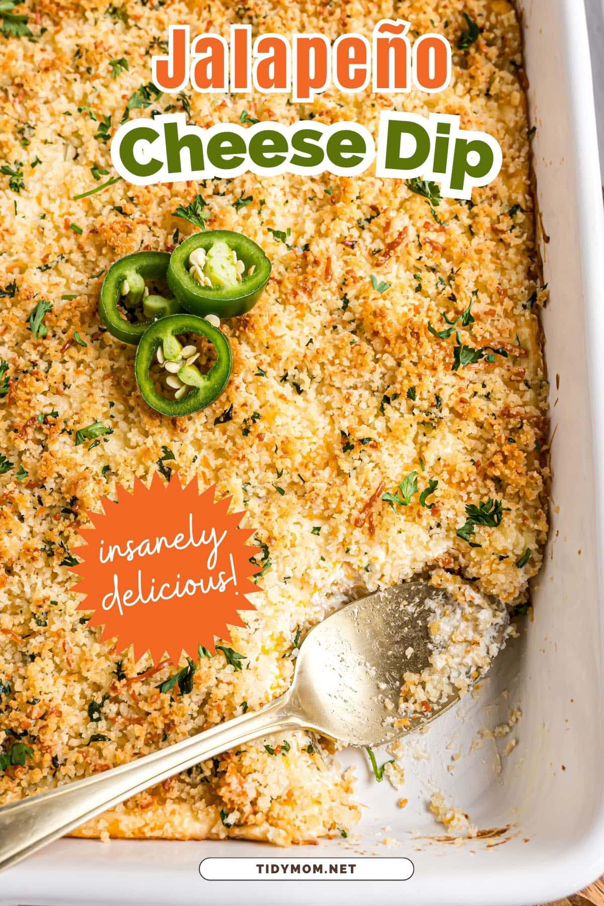 Baked Jalapeno Popper Dip Recipe - TidyMom®