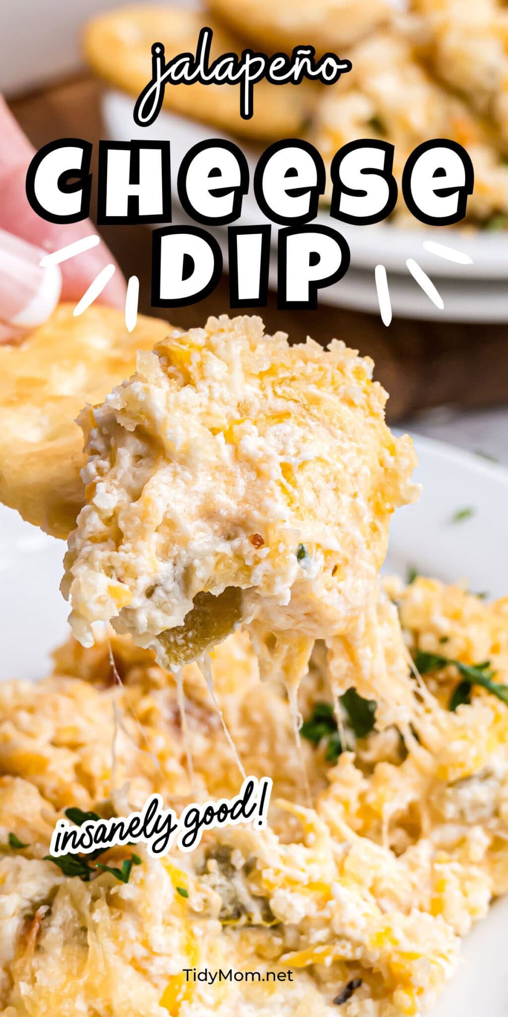 Baked Jalapeno Popper Dip Recipe - TidyMom®