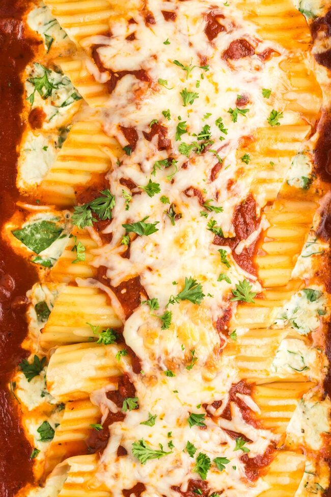 manicotti with cheese in a red sauce