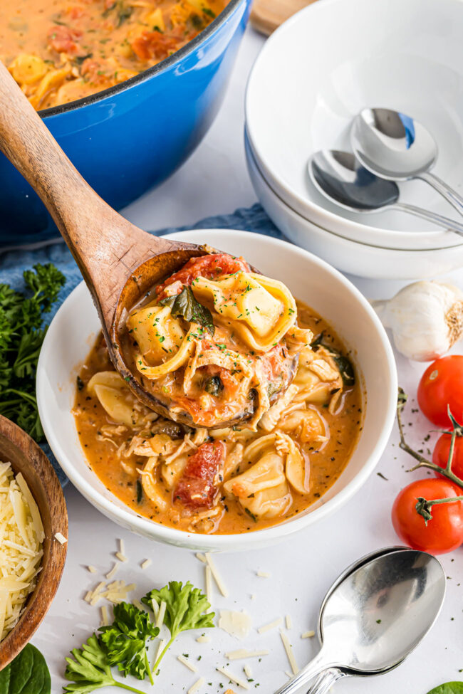 bowl of soup with cheese tortellini