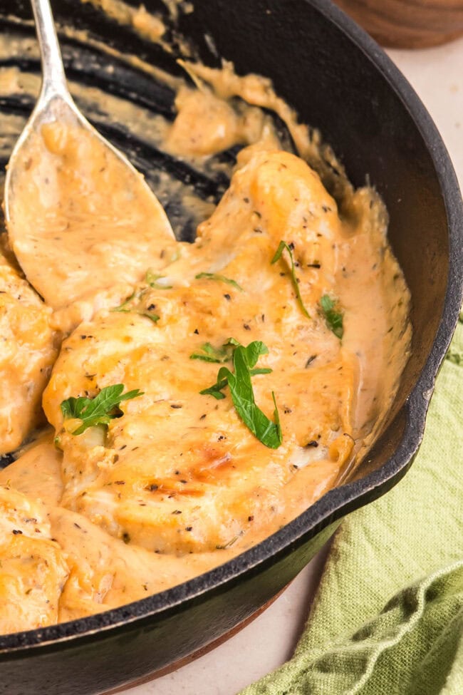 Close-up of creamy smothered chicken cooking in a skillet.