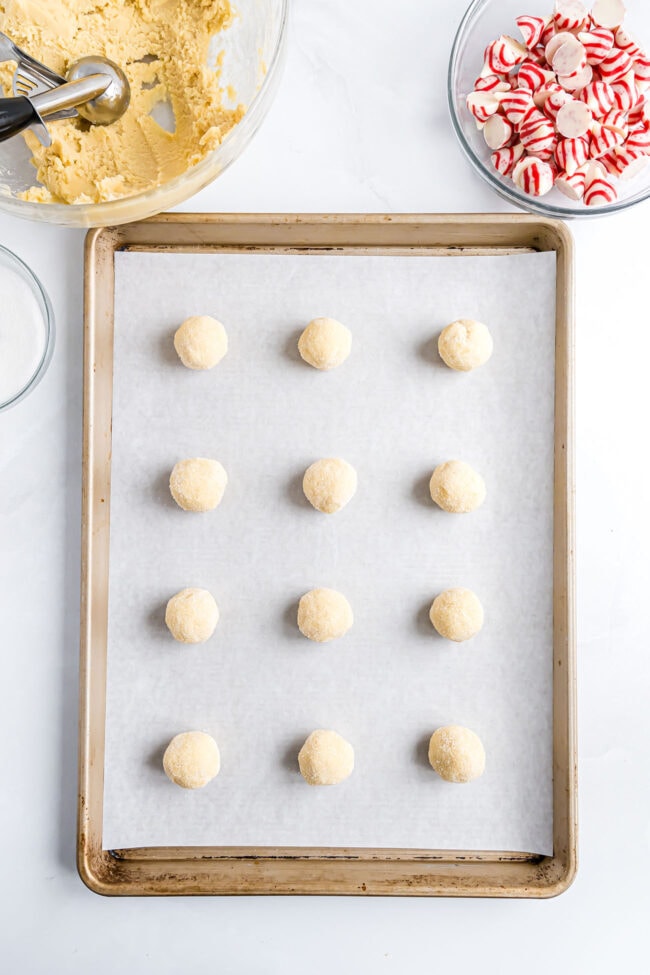 Sugar-coated cookie dough balls arranged on a parchment-lined baking sheet.