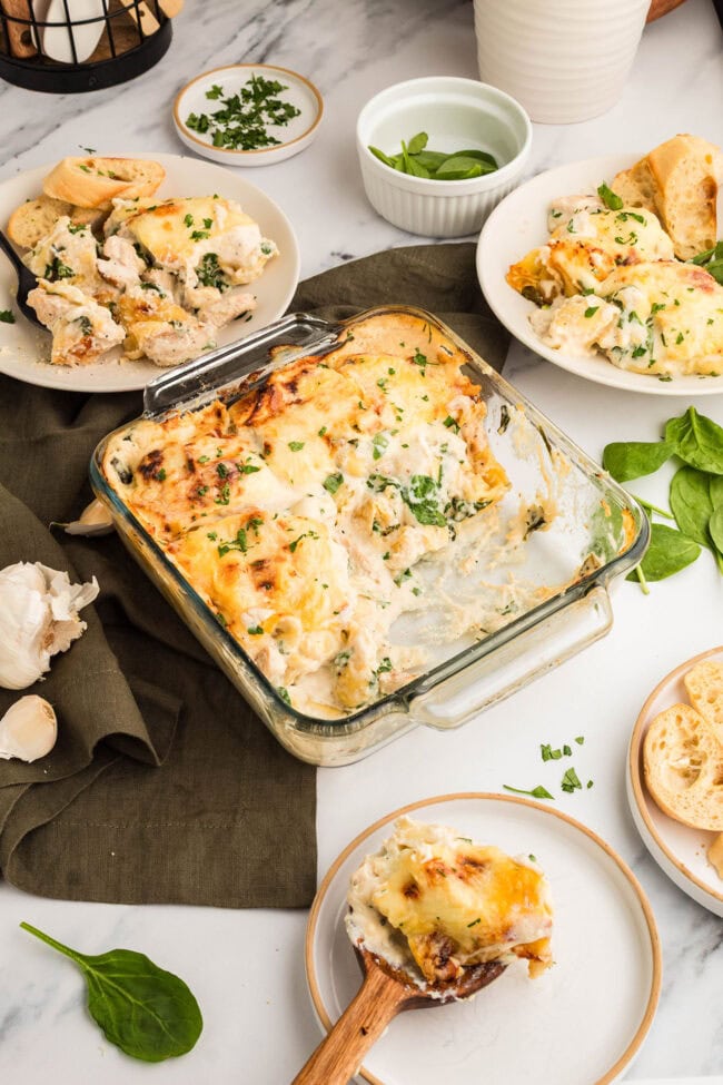Chicken Tortellini Casserole served on plates with creamy sauce, chicken, and cheese tortellini.