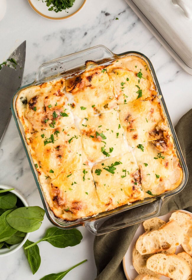 Chicken Tortellini Casserole in a glass dish, cut and ready to serve