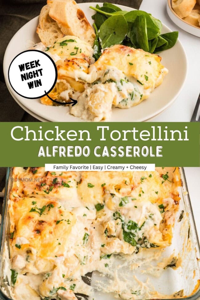 Chicken Tortellini Casserole collage showing a plated serving of creamy chicken tortellini with bread on the side.