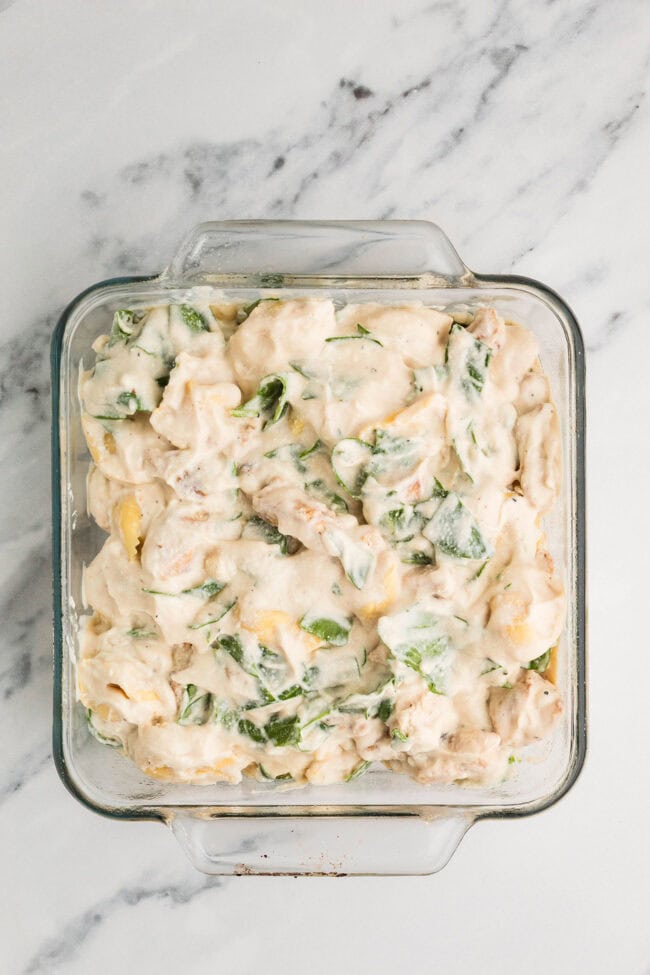 Chicken Tortellini Casserole ingredients mixed together and spooned into a square glass baking dish