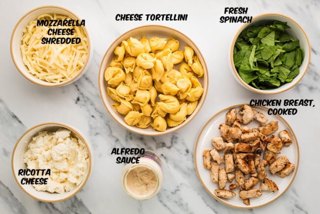 Overhead photo of Chicken Tortellini Casserole ingredients on a countertop, including tortellini, chicken, Alfredo sauce, ricotta, spinach, and mozzarella.