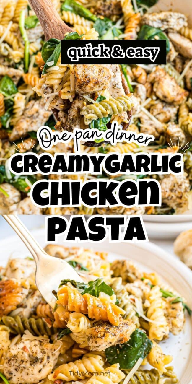 one-pan creamy garlic chicken pasta with juicy chicken, rotini, spinach, and parmesan served as an easy weeknight dinner
