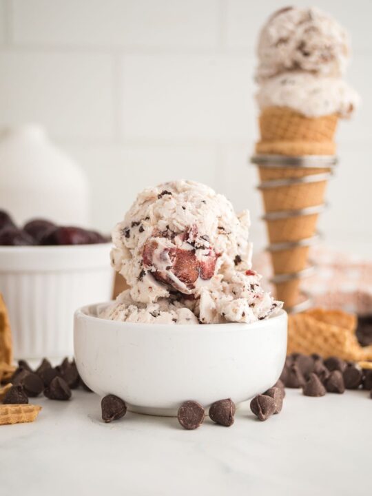 ◇はちみつcherry◇【GRACE PROGRAM 】クリームN No-Churn Cherry Garcia Ice Cream Recipe