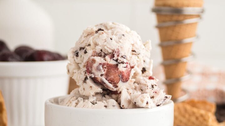 ◇はちみつcherry◇【GRACE PROGRAM 】クリームN No-Churn Cherry Garcia Ice Cream Recipe