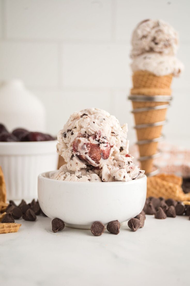 ◇はちみつcherry◇【GRACE PROGRAM 】クリームN No-Churn Cherry Garcia Ice Cream Recipe
